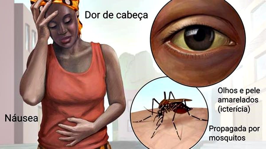 Mortes por febre amarela aumentam cinco vezes em uma semana