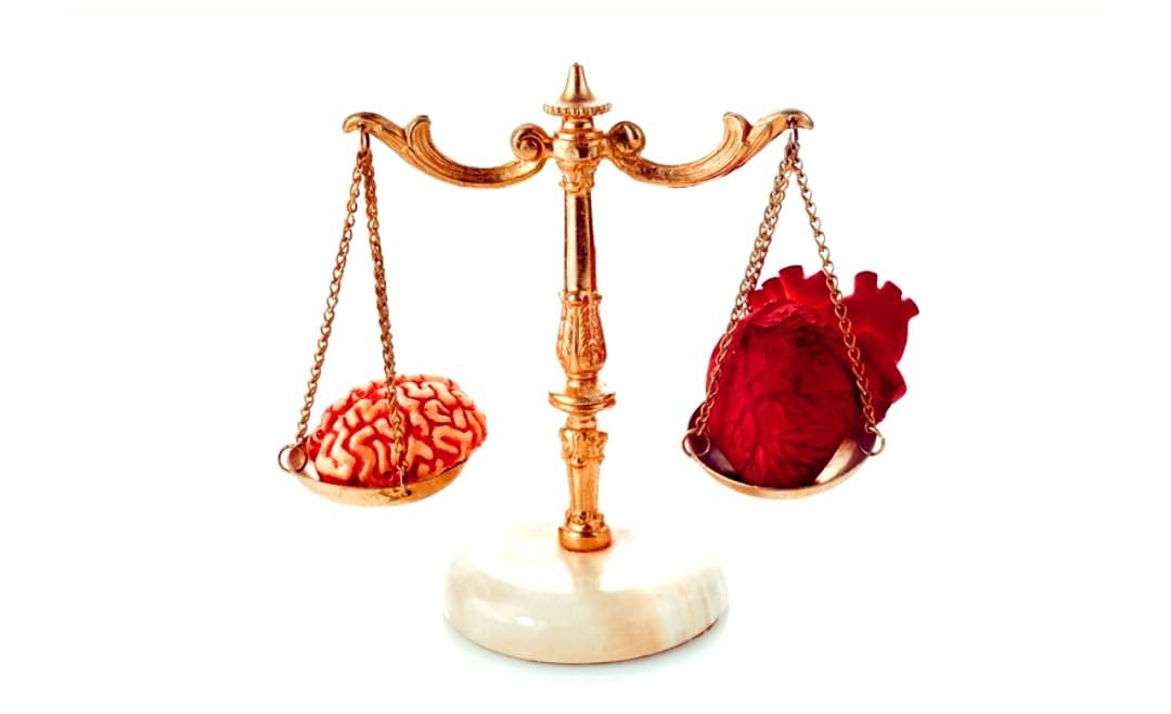 A Educação Segundo Bolsonaro