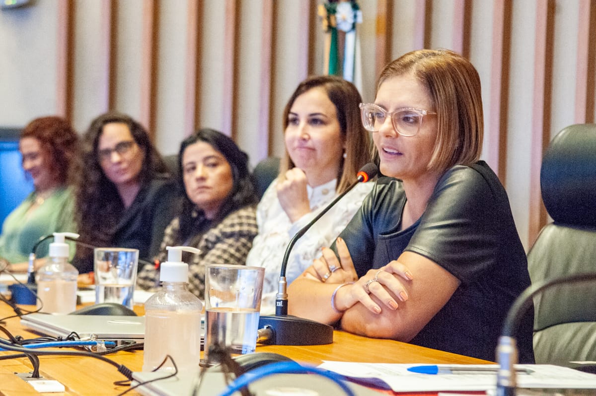 Impactos da violência doméstica na saúde das mulheres são debatidos em audiência
