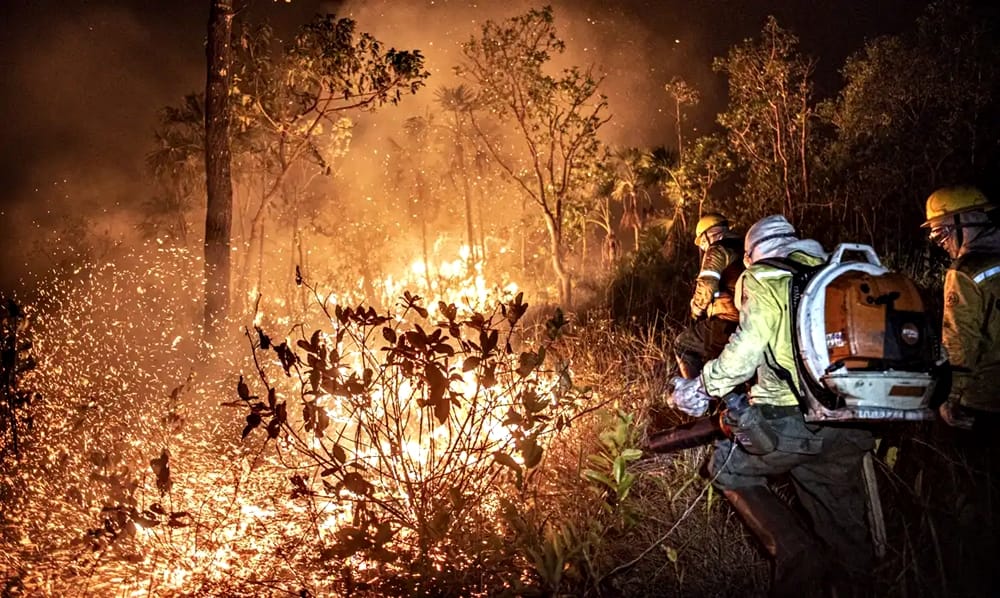 99% dos incêndios no Brasil são por ação humana
